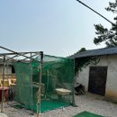 씨앗등펜션 이미지