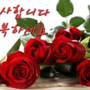 수요일 Daum카페