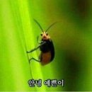 빙동댕 - 군포시 고산로 679 | 빙동댕