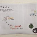 어린이대공원 제3호 이미지