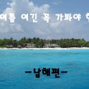 신선지엠주 티스토리