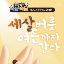 품다태권도장 이미지