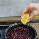 다물농장 | 지리산들꽃다물농장 블랙커런트 배송 후기