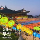 최신영화 신의 한수 2 | 부산 삼광사 연등축제 2시간 완벽 코스 2026 찐후기, 헐~ 4000원에 이런 소원까지?