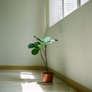 단장인테리어 이미지