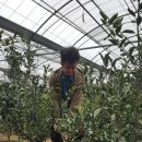 가영농장 이미지