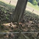 수정민박 이미지