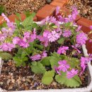 종옥농장 이미지