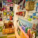 주주애견 이미지