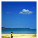 소년과새 이미지