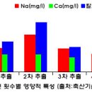 사골의 효능 이미지