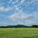 성읍환승정류장 이미지