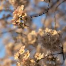 정발산공원 화장실-1 이미지