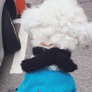 천원부터