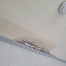 삼신약품 이미지