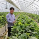 도현이네 농장 이미지