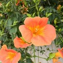 샤르데냐모텔 | [경북 경주] 7월 초, 경주 바다 즐기기 (물고기 가득가득)