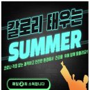 용인대 미르 태권도 이미지