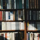 나주시보건소동강지소 | 광주광역시와 인근 지역의 물리치료학과 대학 총정리