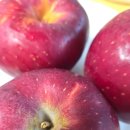 엔비사과 효능, 100년 만에 탄생한 프리미엄 사과의 놀라운 건강 비밀 이미지