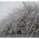 은혜의집 이미지