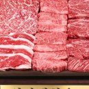 농산물진구네과일 | 지금 사야 혜택 2배 센스 있는 2026 설 선물세트