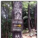 터미널2길 이미지