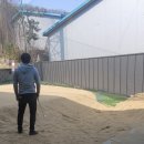 나인 스포렉스 이미지