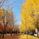 대구선동촌공원 이미지