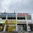 발레나Balena