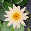 왕송호수공원 이미지