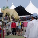 신비의바닷길특산물