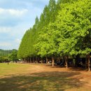 경상남도 수목원 이미지