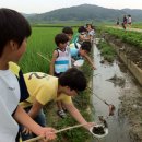 산들강웅포마을 이미지