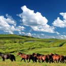 산장기차여행 이미지