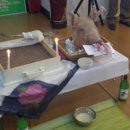 퀀텀의료기 이미지