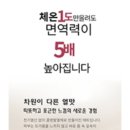 뉴바디체인지