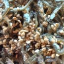 해솔축산 이미지