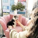 마이퍼피경남