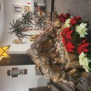 2024 크리스마스미사 이미지