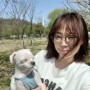 미니스톱 난지2점 이미지