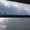 서강초교 이미지