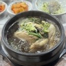 5967 | 용인신갈맛집 보양식 삼계탕 잘하는곳 능이삼백집 내돈내산 후기