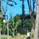 강우량측정기 이미지