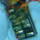 회르만보청기 이미지