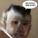 오직브레드 이미지