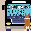 반포동물약국 네이버블로그