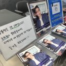 오케이광고기획 - 철원군 삼부연로18번길 19 | 2026년 상반기 공연 및 페스티벌 결산 ② | 4월 초부터 6월까지 + 하반기 공연 계획