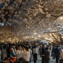 평택대 앞 이미지