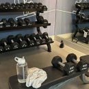 골든 피티 이미지